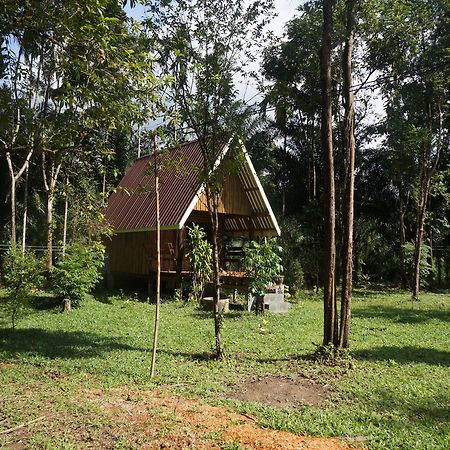 Khao Sok Jungle Resort Khao Sok National Park Eksteriør billede