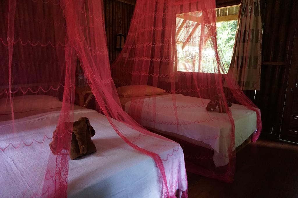 Khao Sok Jungle Resort Khao Sok National Park Værelse billede
