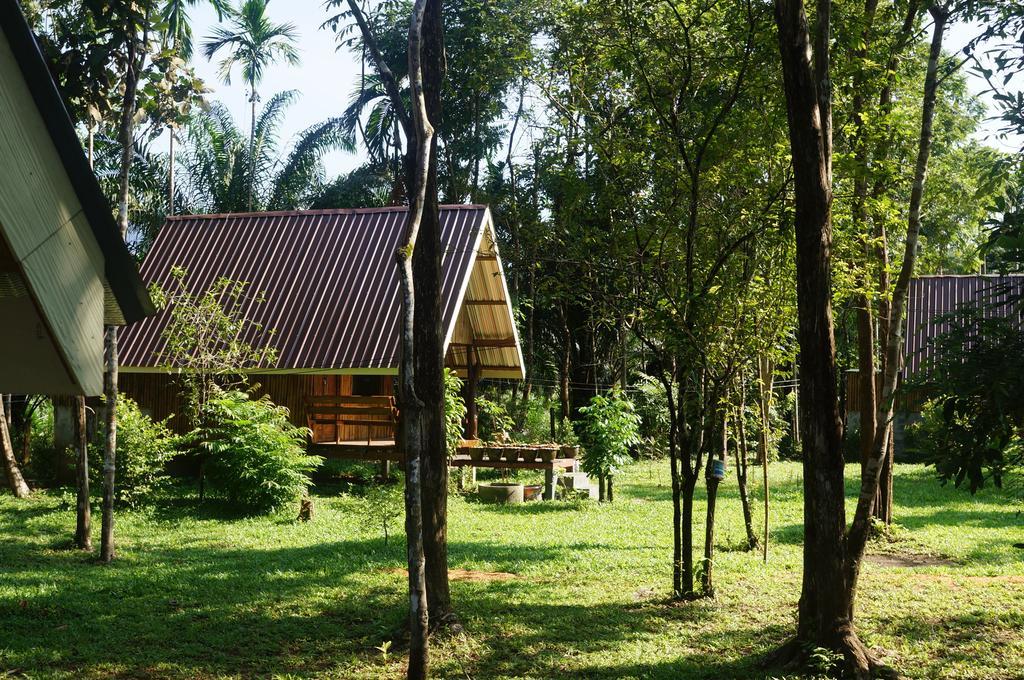 Khao Sok Jungle Resort Khao Sok National Park Værelse billede