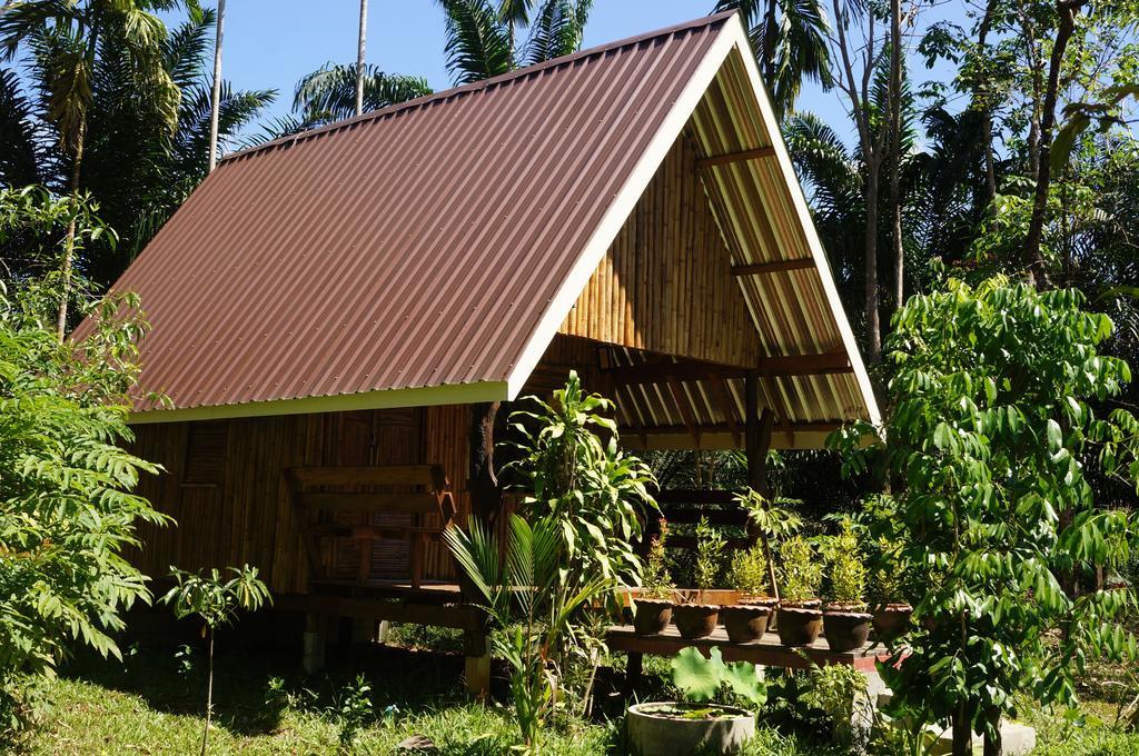 Khao Sok Jungle Resort Khao Sok National Park Værelse billede