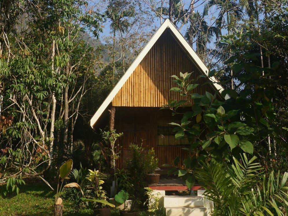 Khao Sok Jungle Resort Khao Sok National Park Eksteriør billede