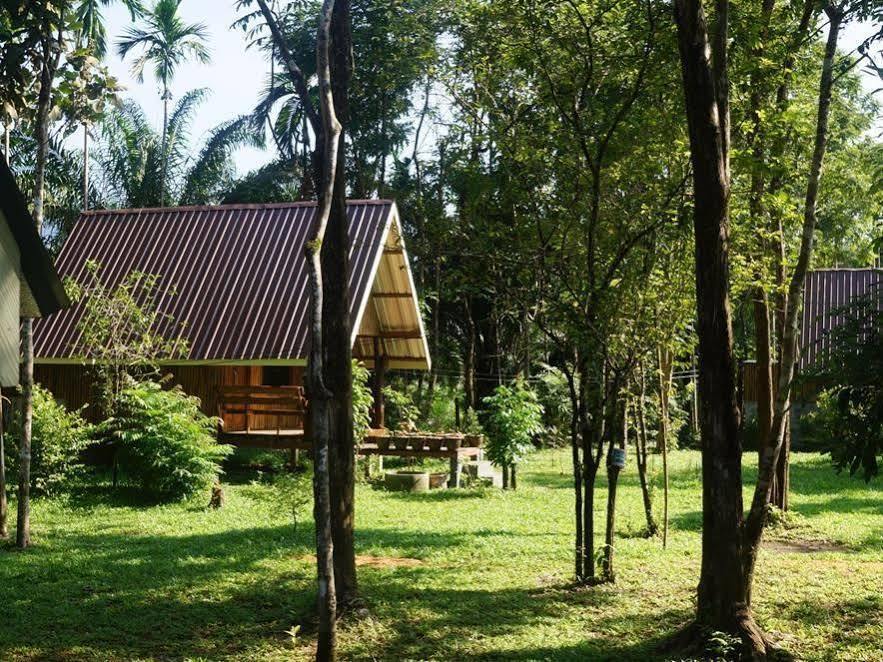 Khao Sok Jungle Resort Khao Sok National Park Eksteriør billede