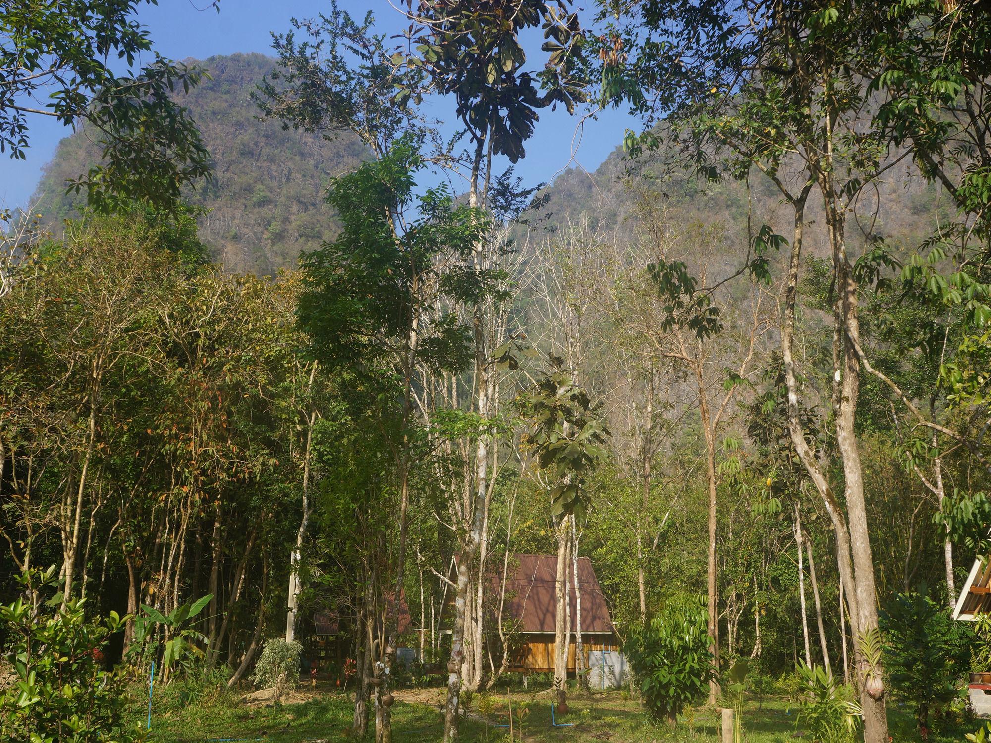 Khao Sok Jungle Resort Khao Sok National Park Eksteriør billede
