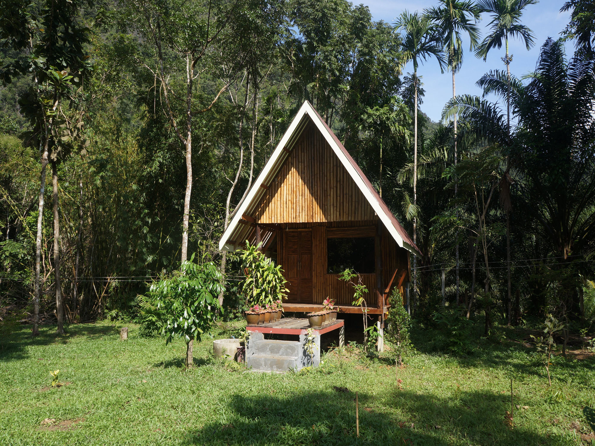 Khao Sok Jungle Resort Khao Sok National Park Eksteriør billede