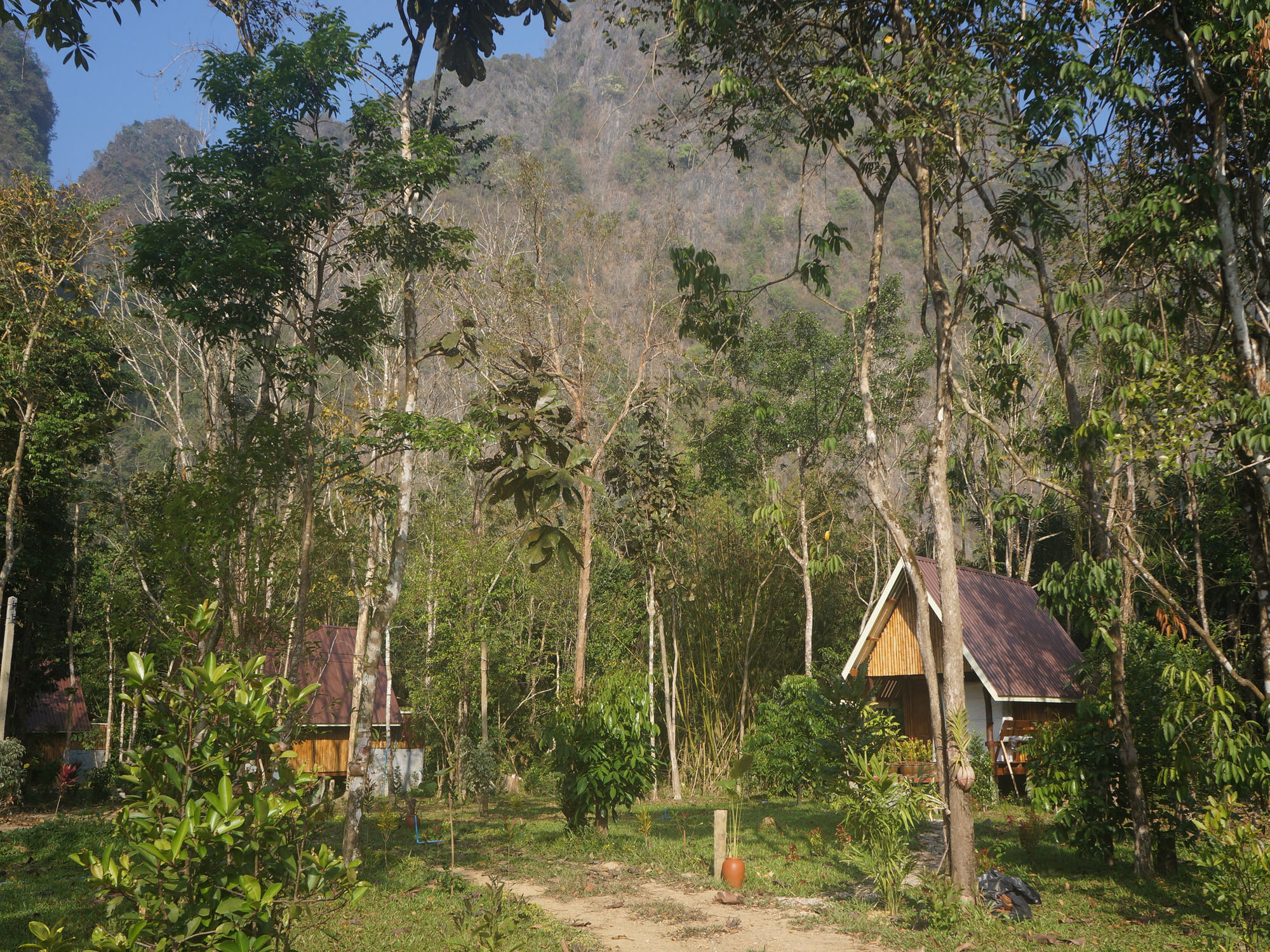 Khao Sok Jungle Resort Khao Sok National Park Eksteriør billede