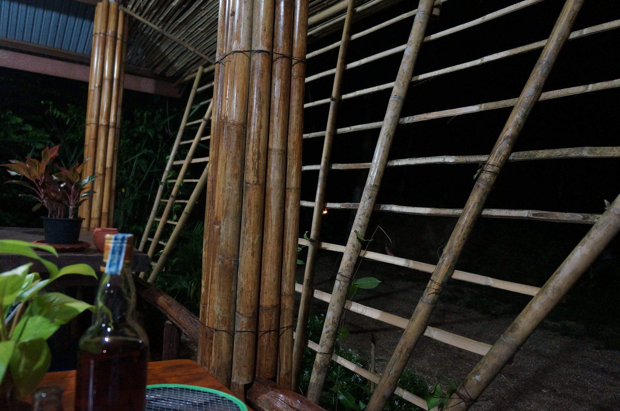 Khao Sok Jungle Resort Khao Sok National Park Eksteriør billede