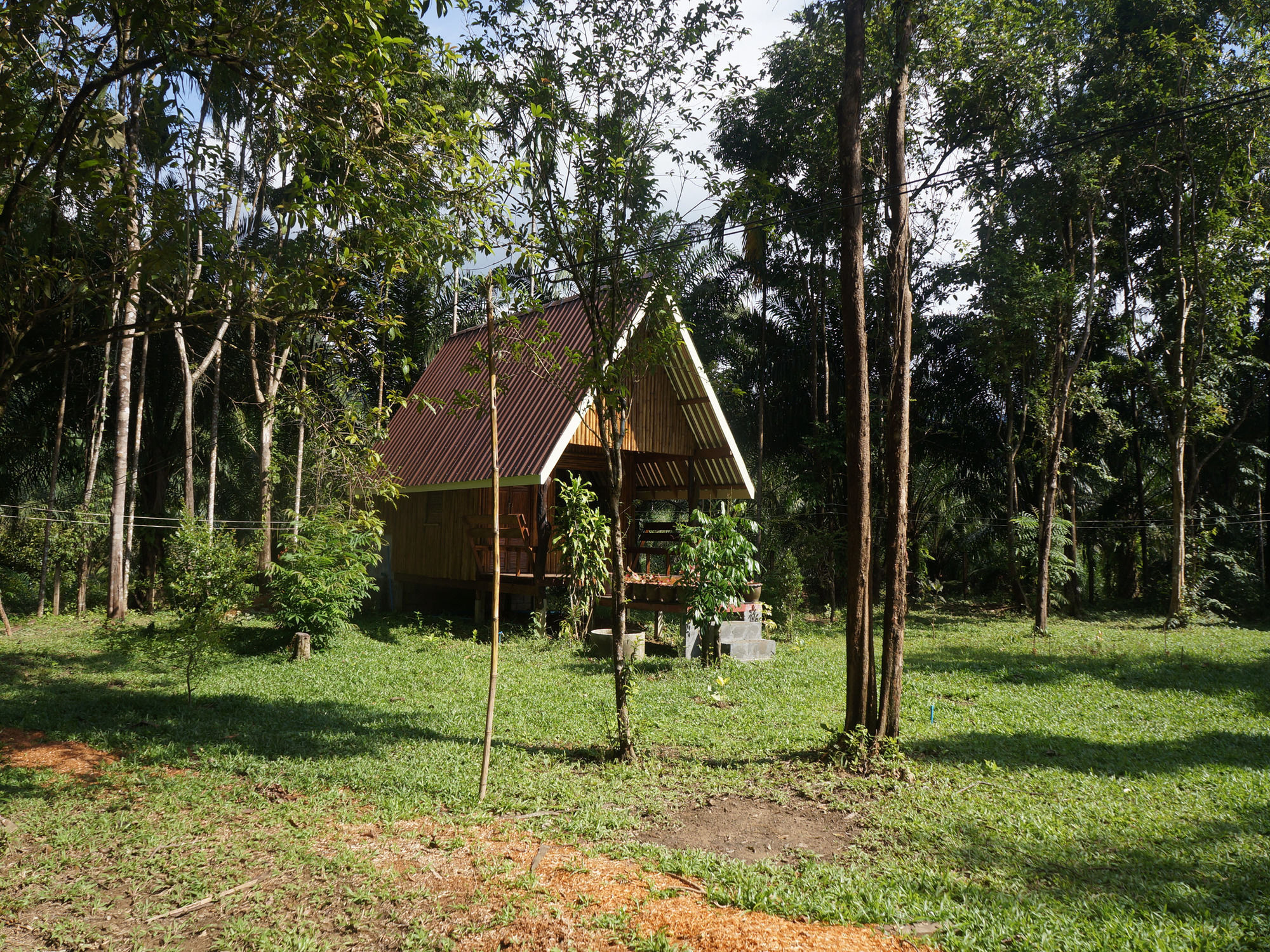 Khao Sok Jungle Resort Khao Sok National Park Eksteriør billede