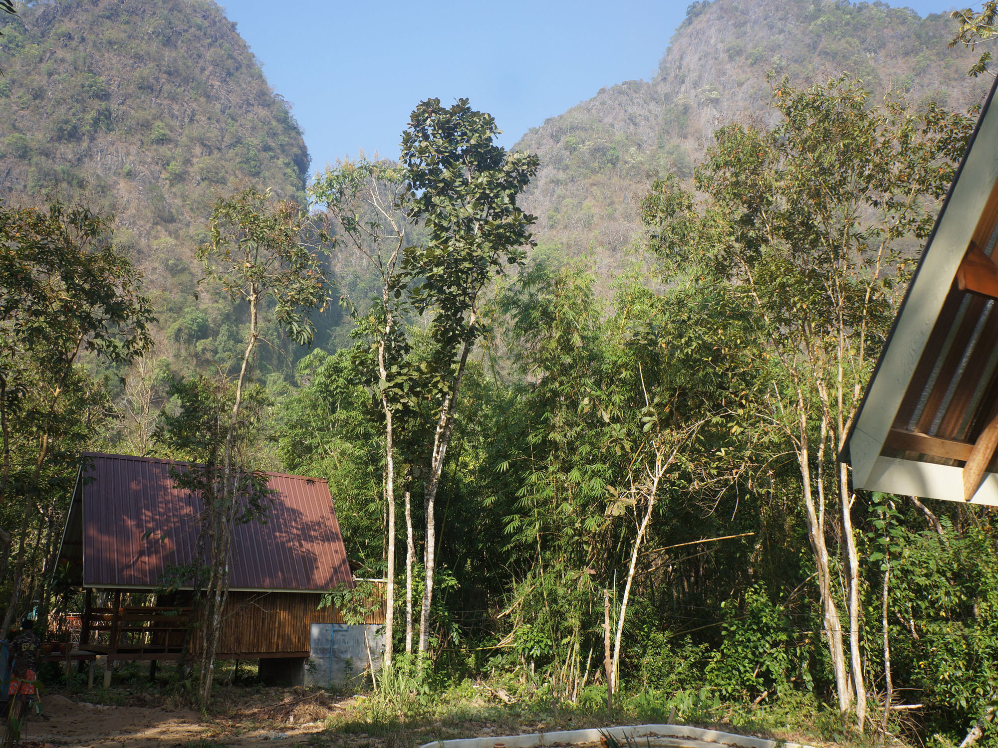 Khao Sok Jungle Resort Khao Sok National Park Eksteriør billede